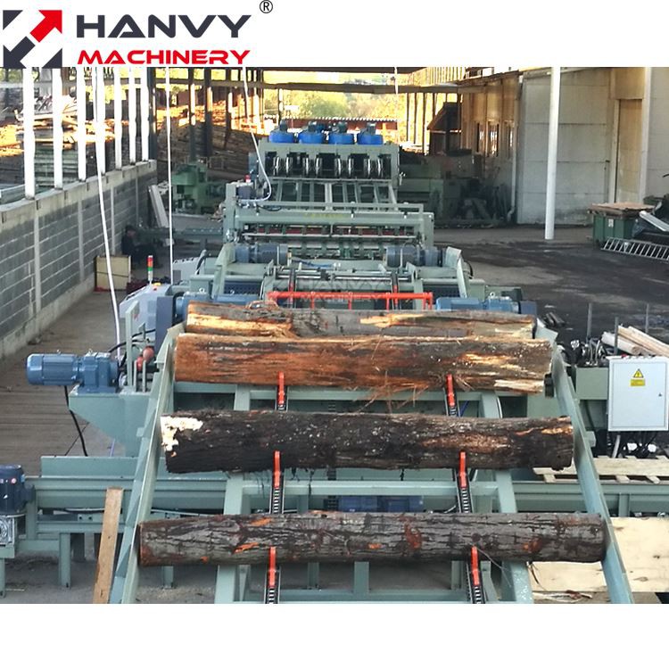 Veneer Production Line