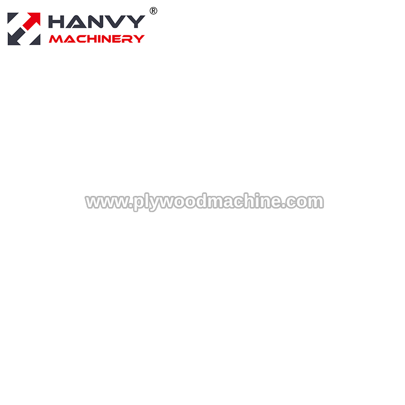 Hanvy Watermark